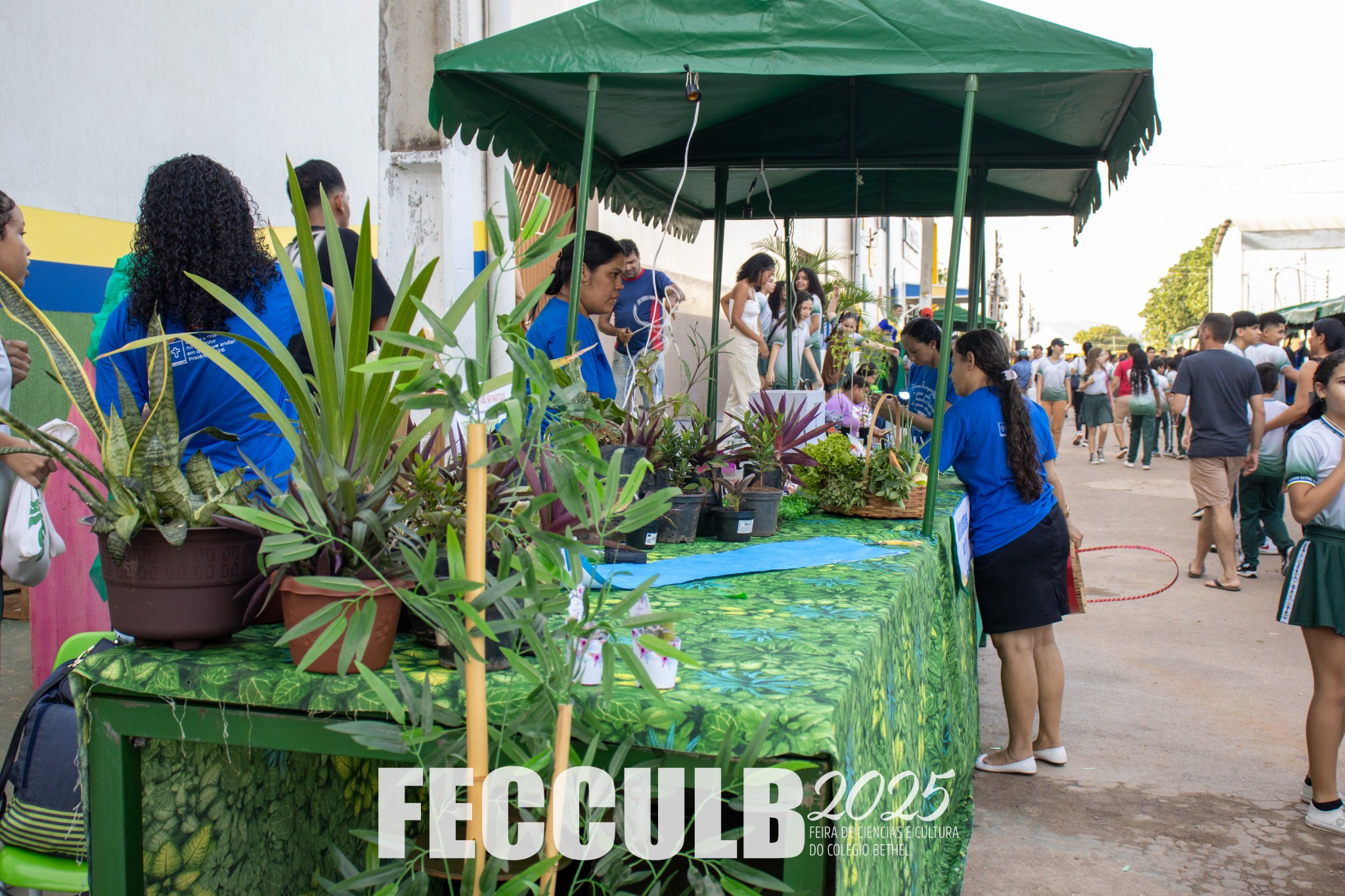 Estande de plantas e projetos na Feira de Ciências e Cultura do Colégio Bethel